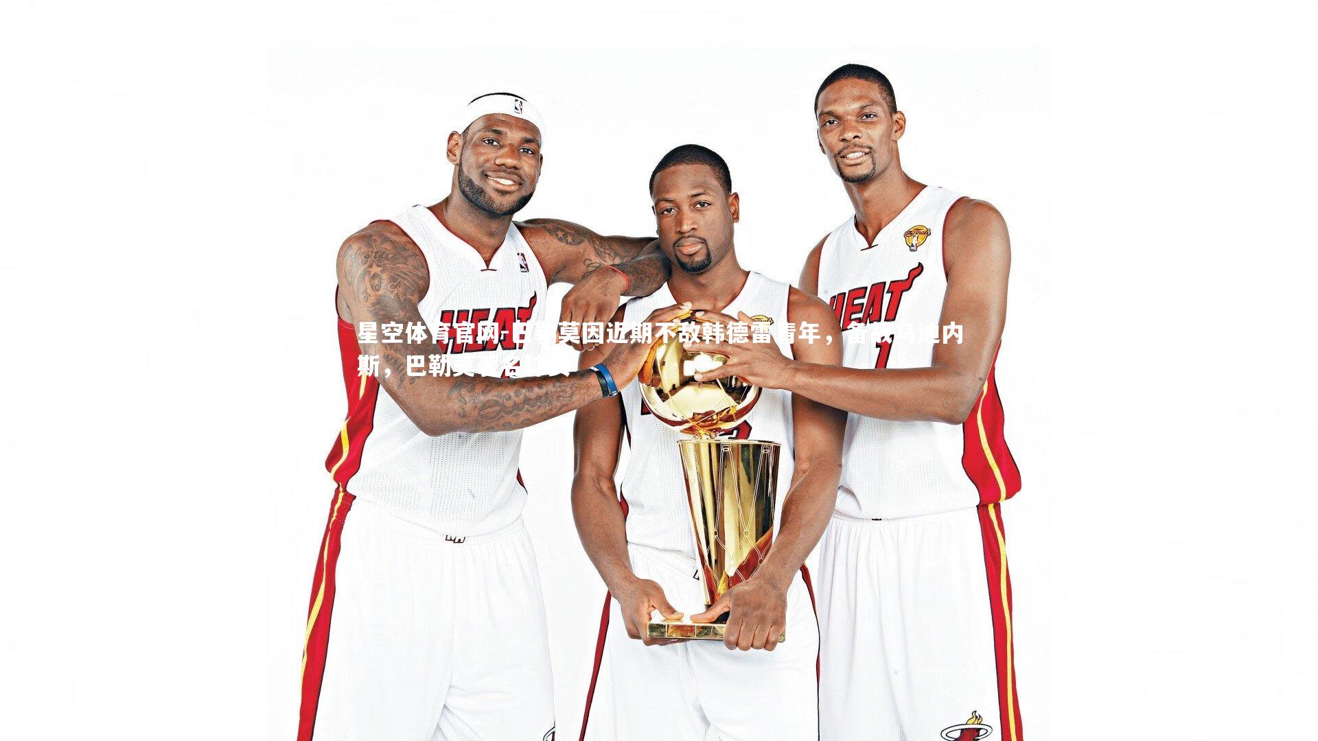 巴勒莫因近期不敌韩德雷青年,备战乌迪内斯,巴勒莫著名球员